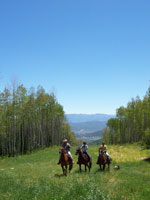 burnsville horseback riding