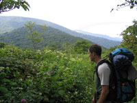 mt mitchell hiking nc