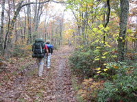 mt mitchell hiking nc